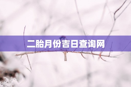二胎月份吉日查询网