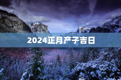 2025正月产子吉日