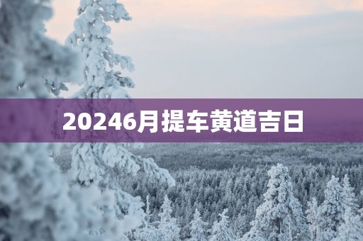 20256月提车黄道吉日