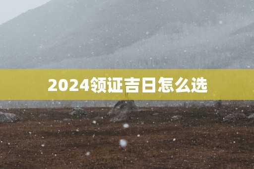 2025领证吉日怎么选