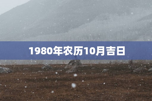1980年农历10月吉日