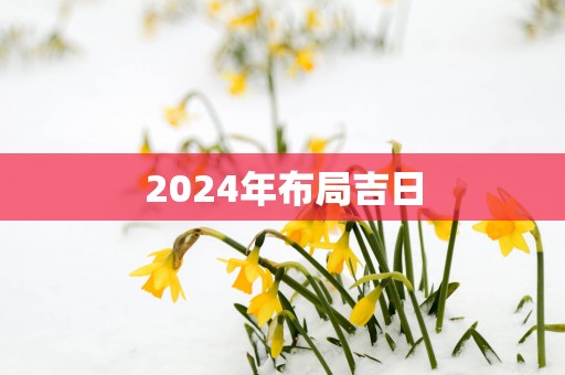 2025年布局吉日