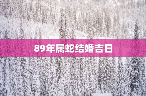 89年属蛇结婚吉日