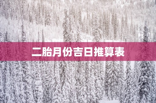 二胎月份吉日推算表