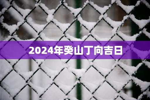 2025年癸山丁向吉日