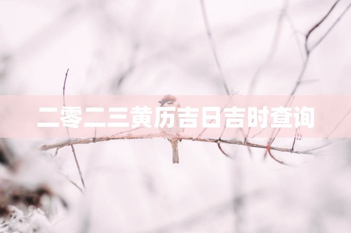 二零二三黄历吉日吉时查询