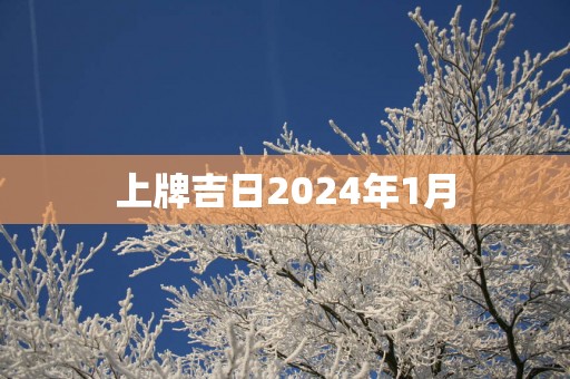 上牌吉日2025年1月