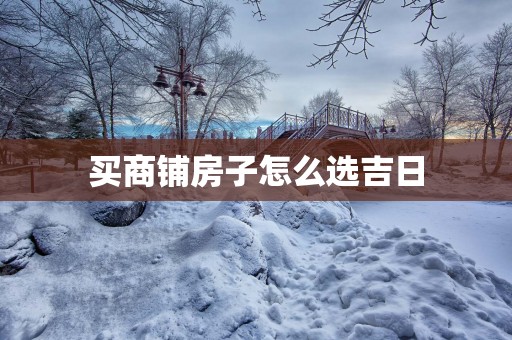 买商铺房子怎么选吉日