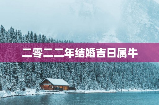 二零二二年结婚吉日属牛