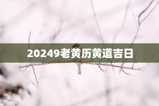 20259老黄历黄道吉日