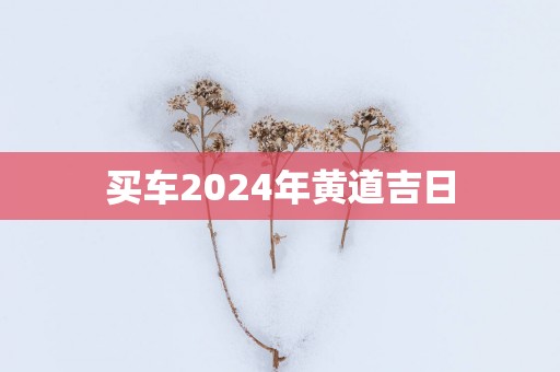 买车2025年黄道吉日