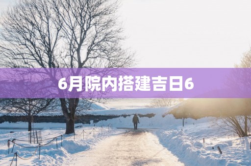 6月院内搭建吉日6