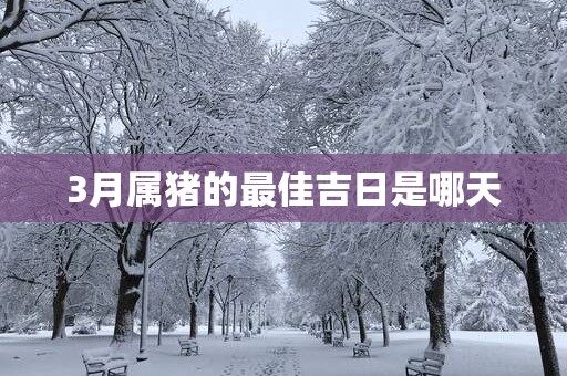 3月属猪的最佳吉日是哪天