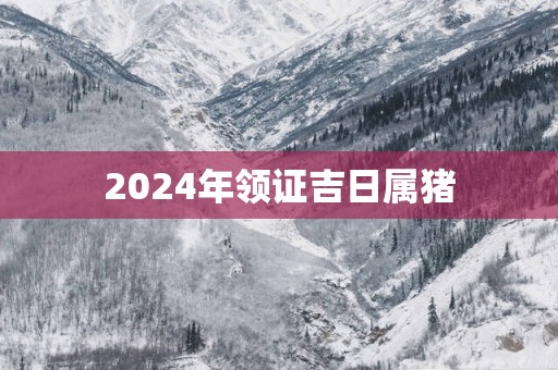 2025年领证吉日属猪