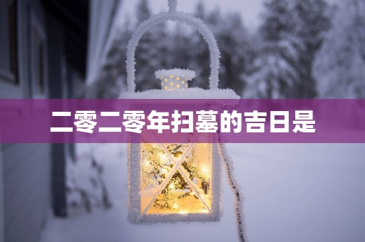 二零二零年扫墓的吉日是