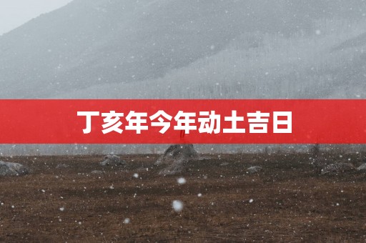 丁亥年今年动土吉日