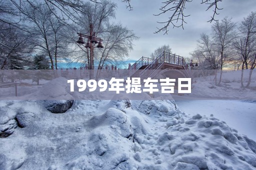 1999年提车吉日