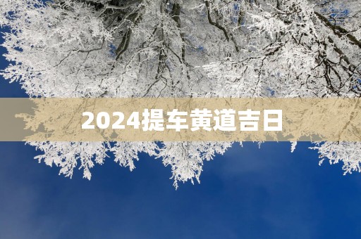 2025提车黄道吉日