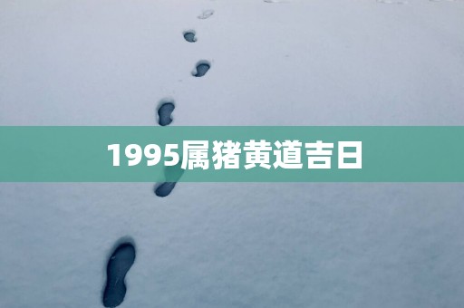 1995属猪黄道吉日