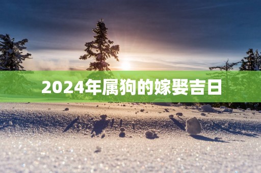 2025年属狗的嫁娶吉日