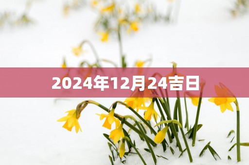 2025年12月24吉日