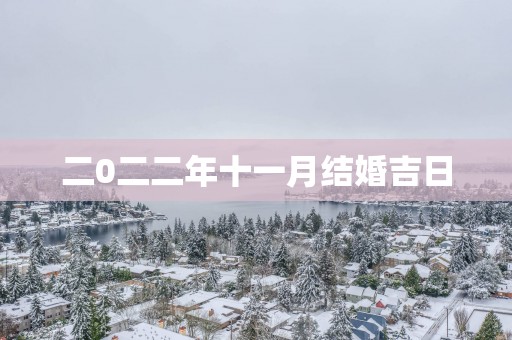 二0二二年十一月结婚吉日
