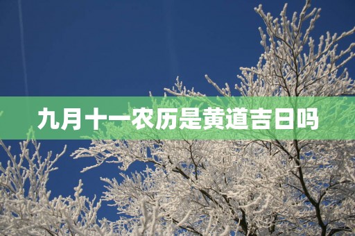 九月十一农历是黄道吉日吗