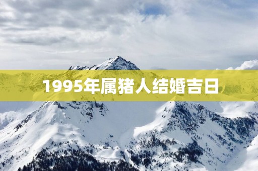 1995年属猪人结婚吉日
