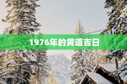 1976年的黄道吉日
