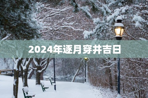 2025年逐月穿井吉日