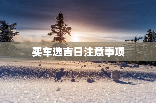 买车选吉日注意事项