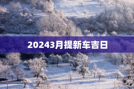 20253月提新车吉日