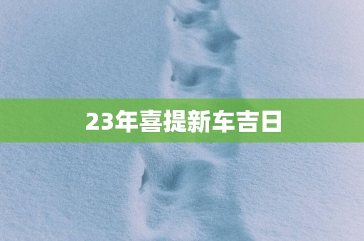 23年喜提新车吉日
