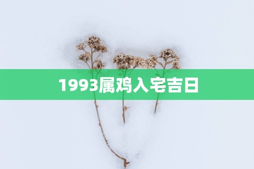 1993属鸡入宅吉日