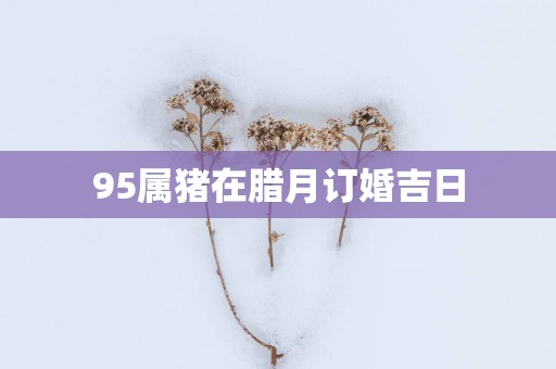 95属猪在腊月订婚吉日