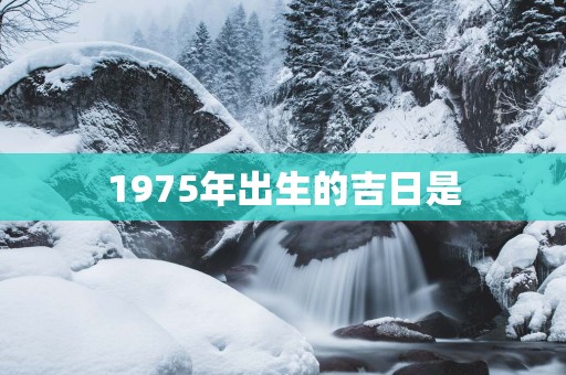 1975年出生的吉日是