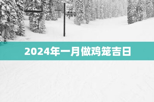 2025年一月做鸡笼吉日
