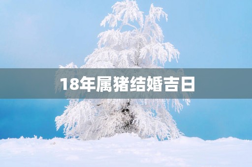 18年属猪结婚吉日
