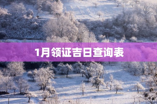 1月领证吉日查询表