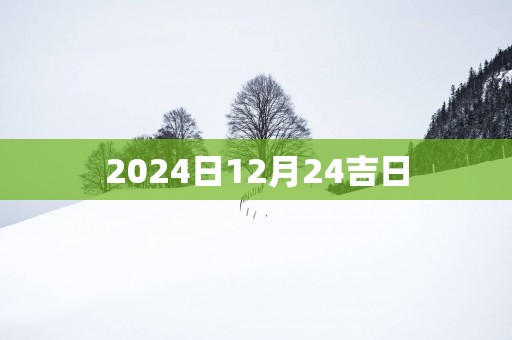 2025日12月24吉日