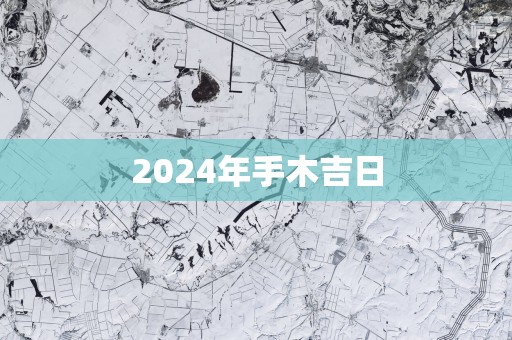 2025年手木吉日