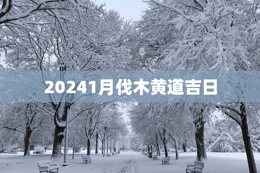 20251月伐木黄道吉日
