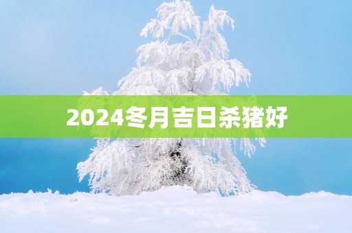 2025冬月吉日杀猪好