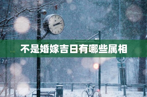 不是婚嫁吉日有哪些属相