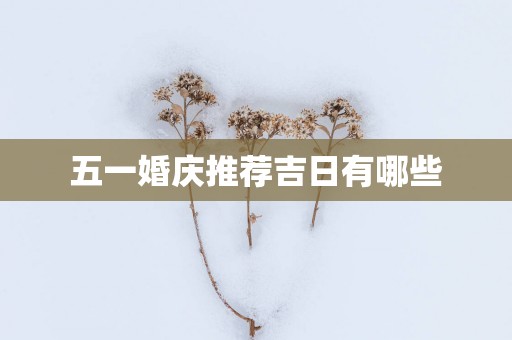 五一婚庆推荐吉日有哪些