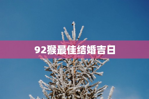 92猴最佳结婚吉日