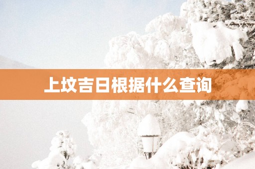 上坟吉日根据什么查询