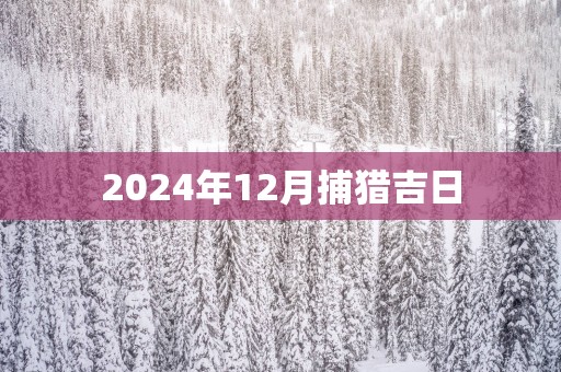 2025年12月捕猎吉日