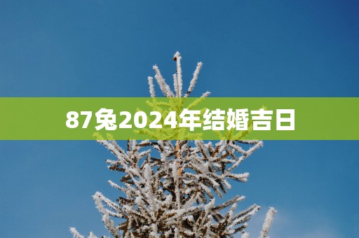 87兔2025年结婚吉日