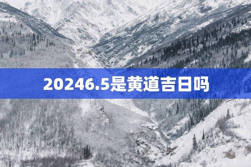 20256.5是黄道吉日吗